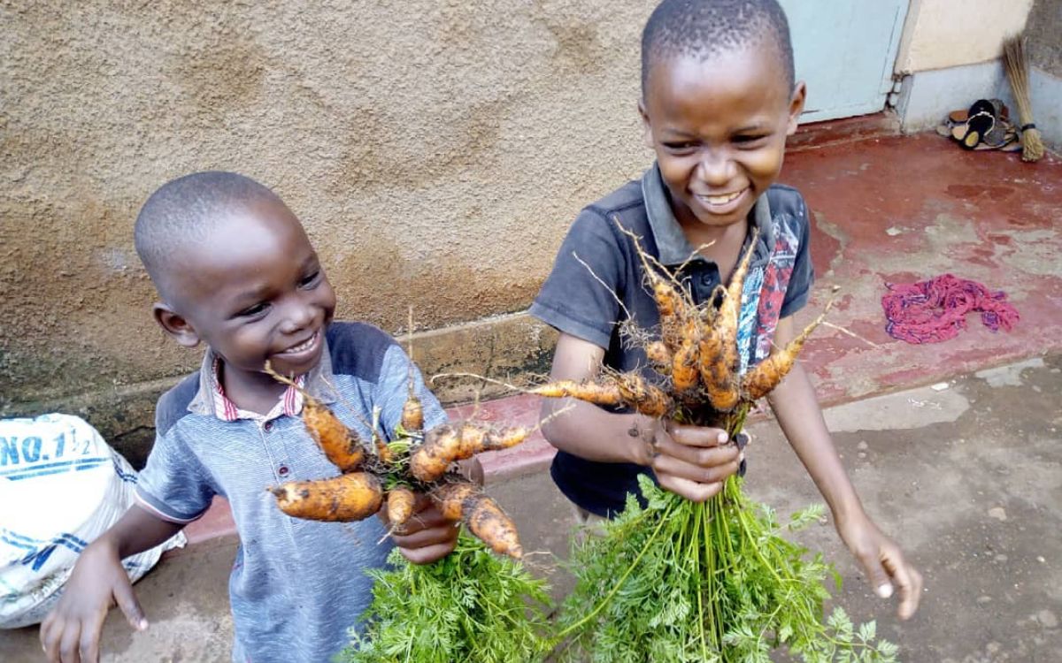 Little boys gardening carrots