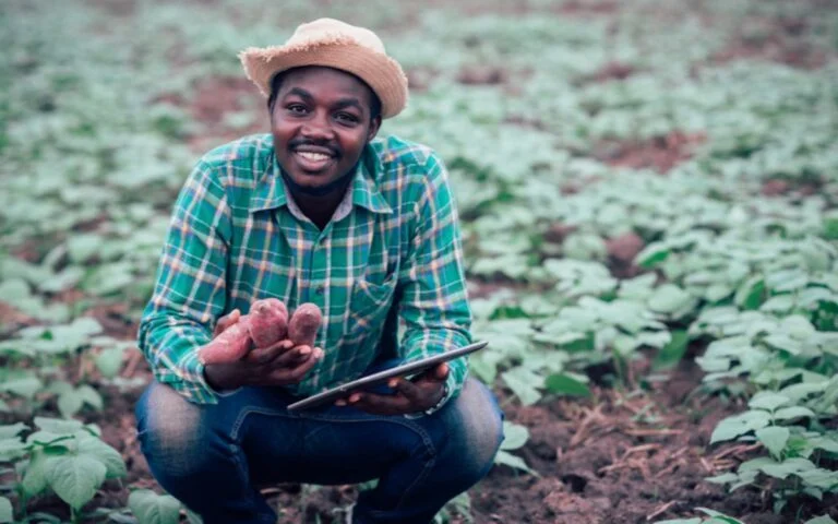 Man with orange sweet potato in Ghana