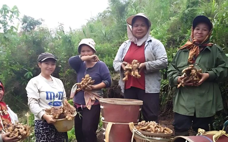 Lakshwin Murugamoorthy and Women Of Will