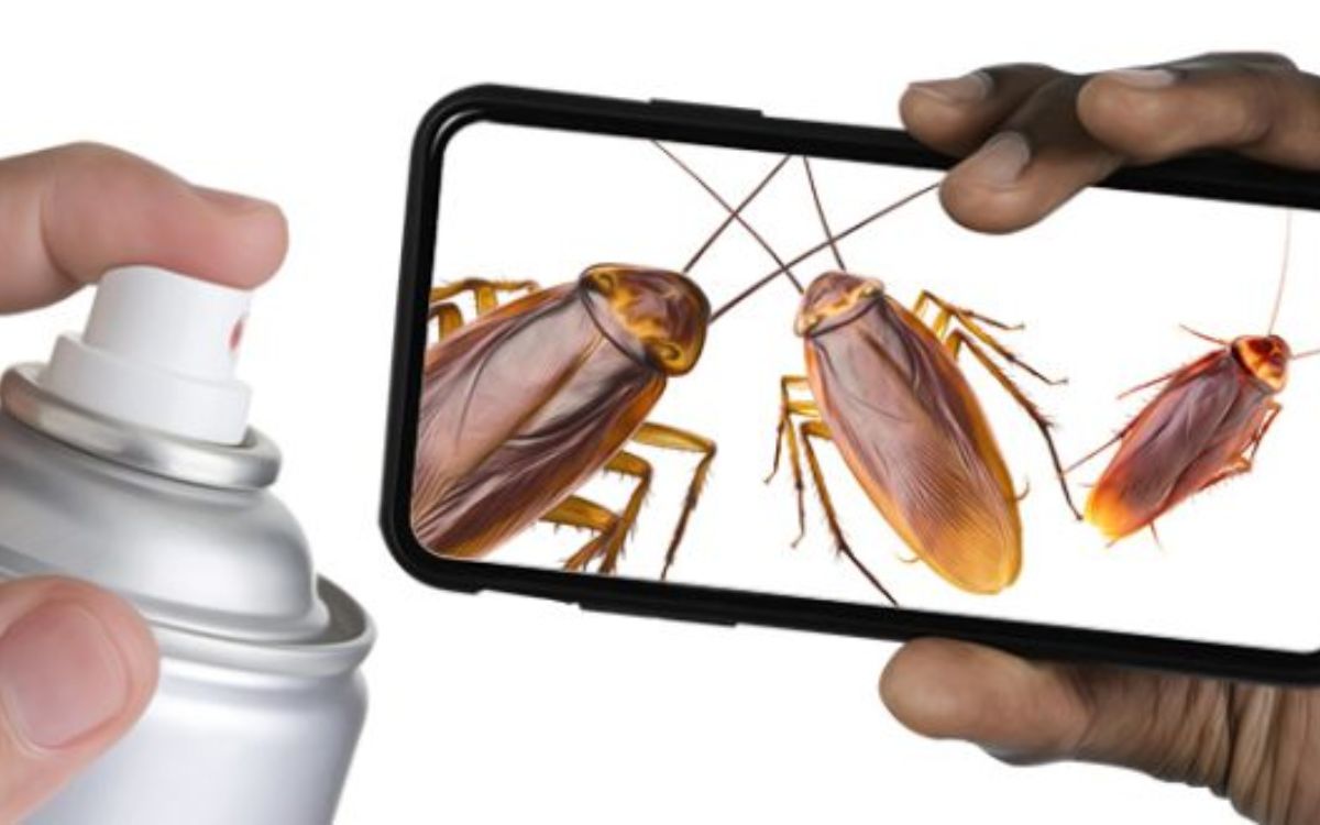 OpEd, Addressing the information Disorder Building and Sustaining Collaboration