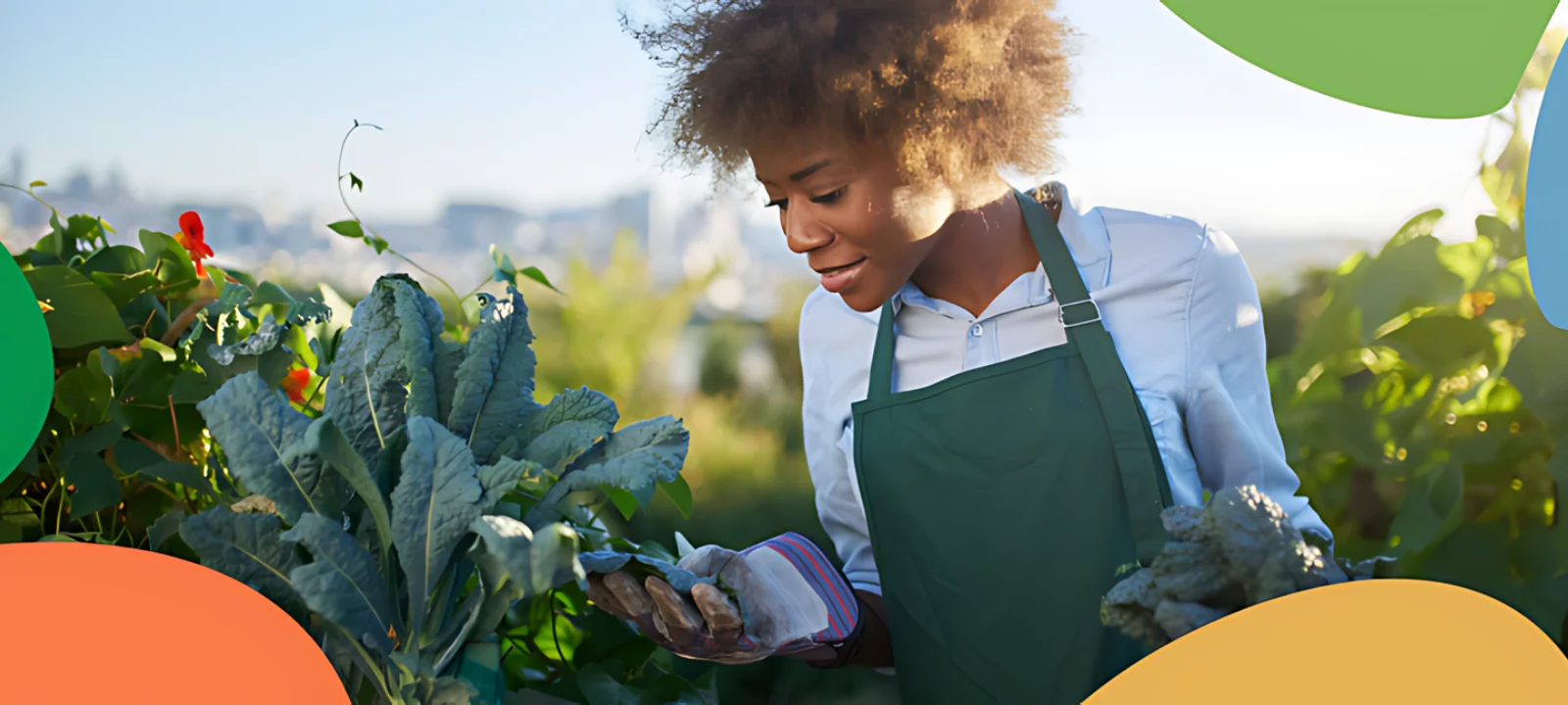 Kofi Annan Award for Innovation in Africa support us