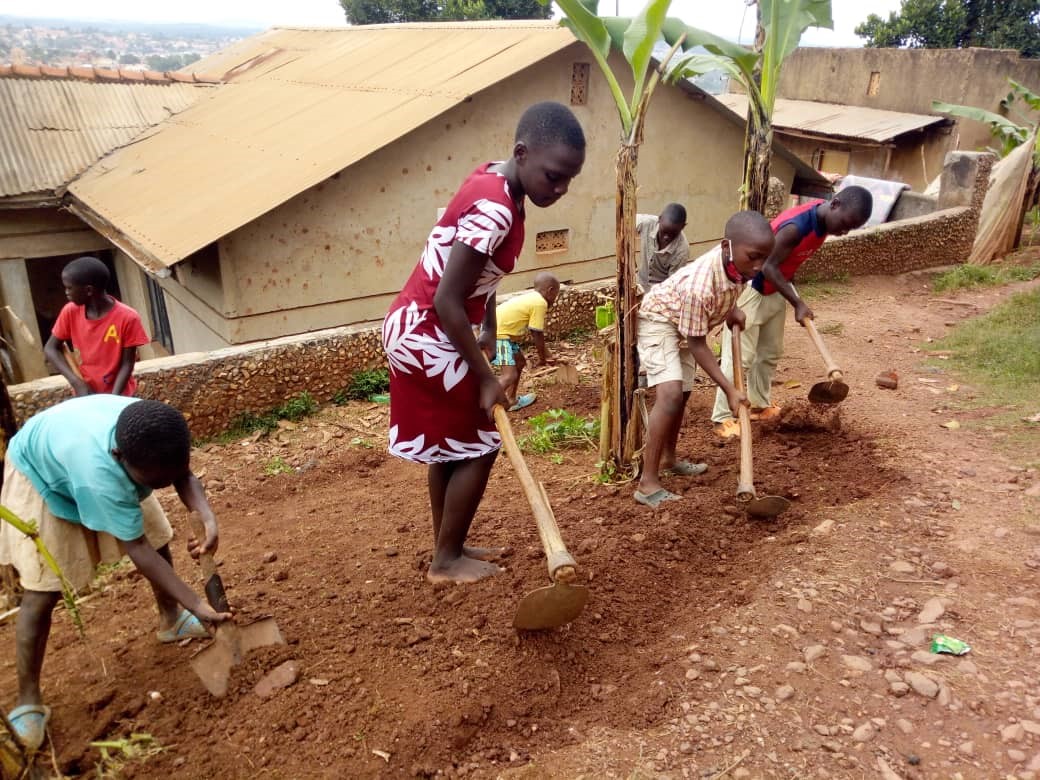 Photo: Kichini Gardeners